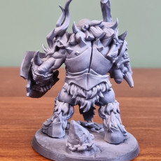 Picture of print of Frostmetal Clan Ogre - Modular F