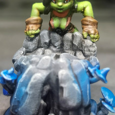 Picture of print of Dice Goblin