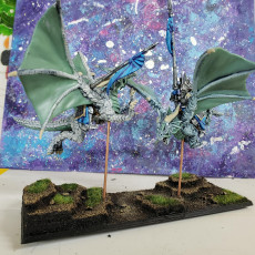 Picture of print of Elf Dragon Rider miniatures (28mm, modular)
