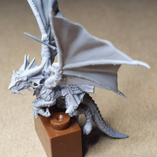 Picture of print of Elf Hero on Dragon miniature (28mm, modular) This print has been uploaded by Rene D