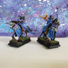 Picture of print of Elf Mounted Mage miniature (28mm, modular)