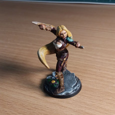 Picture of print of Ako - Female Monk - 32mm - DnD