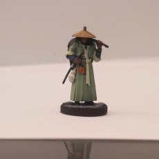 Picture of print of Hattori Human Ronin - Presupported