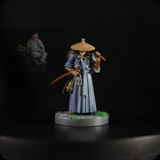 Picture of print of Hattori Human Ronin - Presupported This print has been uploaded by Igor Ditkov
