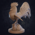 Choto Rooster - Presupported image