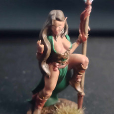 Picture of print of Spear Dancer Elf, Halana