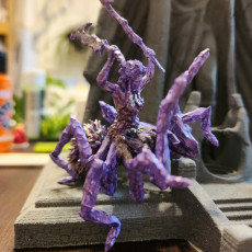 Picture of print of crystal drider queen