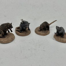 Picture of print of Giant rats
