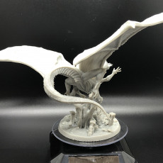 Picture of print of Draco Hydra