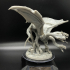 Draco Hydra print image
