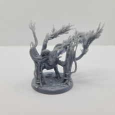 Picture of print of Mutated Cursed Splinter This print has been uploaded by Taylor Tarzwell
