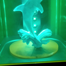 Picture of print of Dolphin split from heart with lid