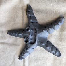 Picture of print of CUTE FLEXI PRINT-IN-PLACE Starfish Prusa and Bambu painted 3mf files now added!