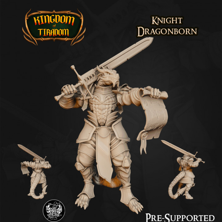 Dragonborn Knight's Cover