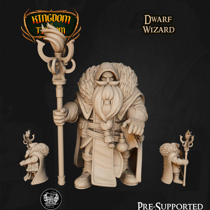 Dwarf Wizard's Cover