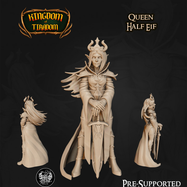 Half Elf Queen's Cover