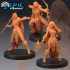 Amazon Warrior Set / Female Barbarian / Forest Wildling Encounter Collection image