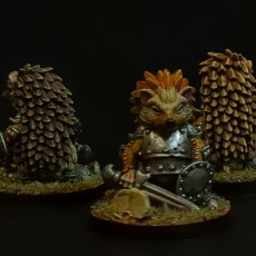 Picture of print of Hedgehog Warriors (pre supported)