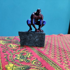 Picture of print of Another Spiderman