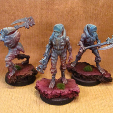 Picture of print of Shadowspace Bloodseekers [Axes]