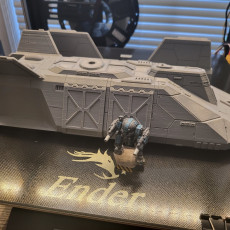 Picture of print of Gepard Dropship