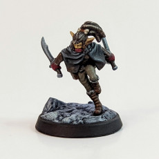 Picture of print of Young Female Half Orc Rogue with Dual Scimitars (PRESUPPORTED)