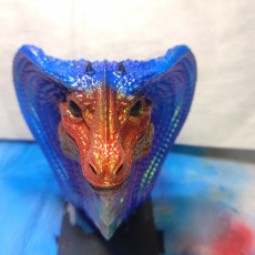 Picture of print of Snake Dragon bust .