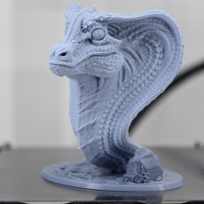 Picture of print of Snake Dragon bust .