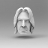 Snape's head for marionette image