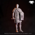 Roman Praetorian Centurion 1st-2nd C. A.C. In Charge! image