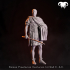 Bundle - Roman Praetorian Centurion 1st-2nd C. A.C. in Charge! image