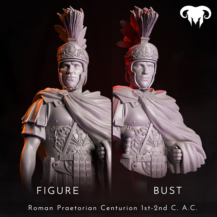 $11.99Bundle - Roman Praetorian Centurion 1st-2nd C. A.C. in Charge!