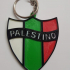 llavero palestino equipo chileno futbol image