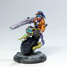 Picture of print of Elf Death Shooter Lucca - Monobike