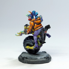 Picture of print of Elf Death Shooter Lucca - Monobike