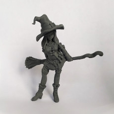 Picture of print of Witch with broom