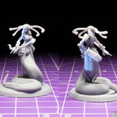 Picture of print of Medusa Elite Longbow Pose 2