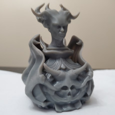 Picture of print of Lilith Potion