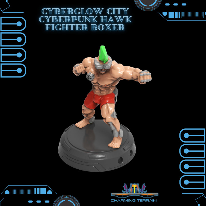 $2.90Cyberglow City Cyberpunk Hawk Fighter Boxer