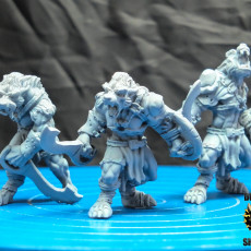Picture of print of Wolfen ( pre supported )