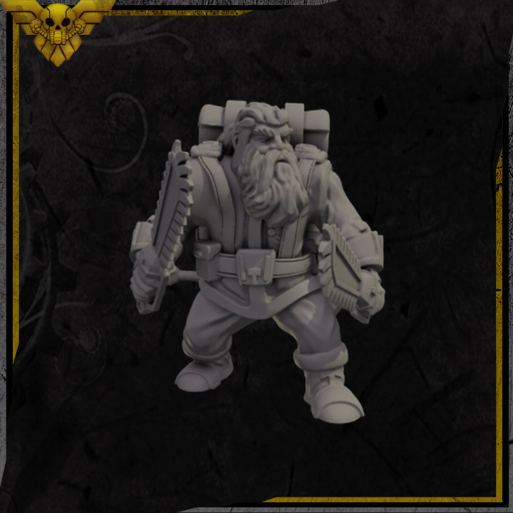 Dwarven Faction: Private Soldier with 2 Sword's Cover