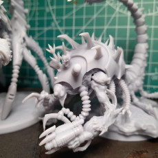 Picture of print of The Collector Set #3, 21 Poseable Parts - Cursed Elves