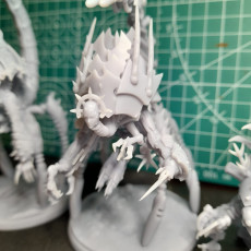 Picture of print of The Collector Set #3, 21 Poseable Parts - Cursed Elves