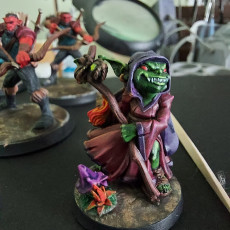 Picture of print of Goblin Wizard