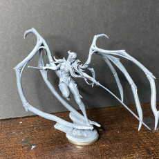 Picture of print of Succubus fighter