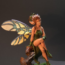 Picture of print of Pixie Soul of the Forest 75mm pre-supported This print has been uploaded by Gerrit van Oostveen