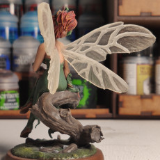 Picture of print of Pixie Soul of the Forest 75mm pre-supported