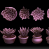 Succulents and Pots image