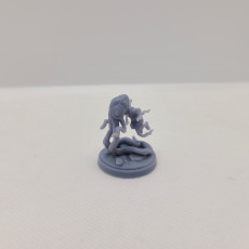 Picture of print of Gnome squidling (supported)