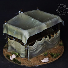 Picture of print of Command Tent 01